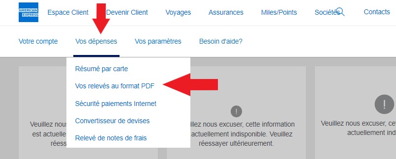 AMERICAN EXPRESS retrieve PDF statements 1