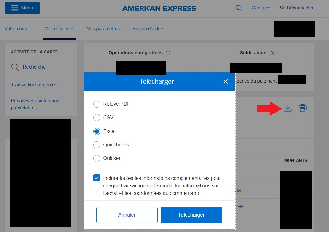 AMERICAN EXPRESS retrieve statement 4