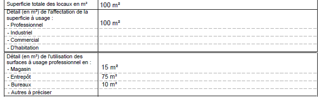 Exemple de remplissage du questionnaire