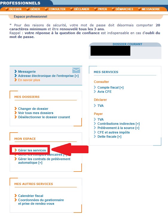 Espace professionnel : lien Gérer les services dans MON ESPACE