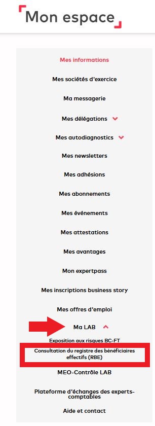 Consultation du registre des bénéficiaires effectifs (RBE)